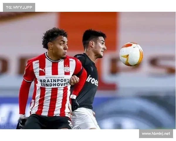 埃因青年与阿贾青年差异全面解析与深度比较视角多维度探索分析